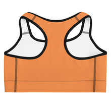 Load image into Gallery viewer, Visionary Sports bra