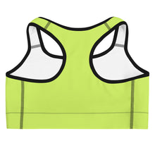 Load image into Gallery viewer, Visionary Sports bra