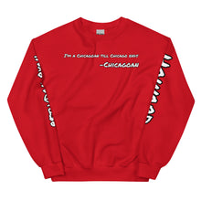 Load image into Gallery viewer, Red Line Sweatshirt
