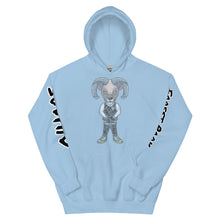 Load image into Gallery viewer, Blue Line BR Hoodie