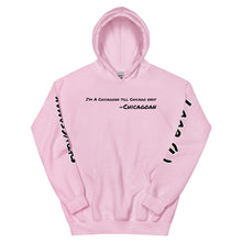 Load image into Gallery viewer, Pink Line Hoodie